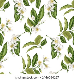 Citrus flower branch of orange, lemon, lime fruit tree made in vector graphic with flowers, leaves, buds and little fruits