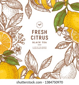 Citrus Frame Design Template. Engraved Style Illustration. Orange, Flowers, Lemon, Tangerine. Vector Illustration