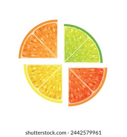 Citrus fresh fruits set. Orange, lime, lemon and grapefruit quartered. Vector illustration