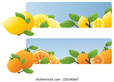 Citrus fruit banners.