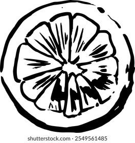 citrus fruit. Christmas related Hand drawn vector sketch illustration