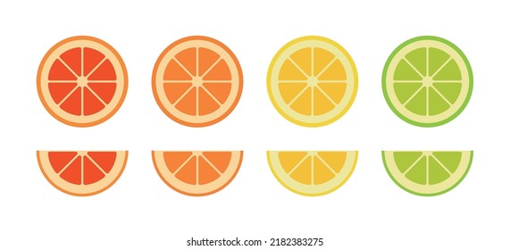 Citrus fruit cross section slice illustration graphic set. Grapefruit, orange, lime, lemon and tangerine illustration.