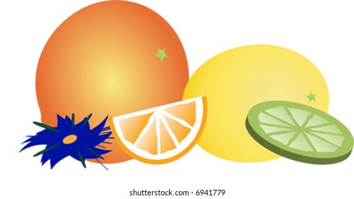Citrus fruit decoration