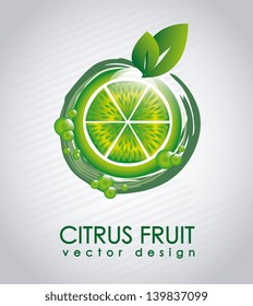 citrus fruit design over gray background vector illustration