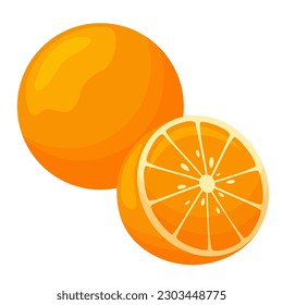 Citrus fruit, fresh orangе vector illustration.