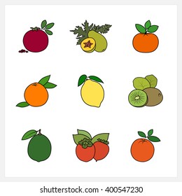 Citrus Fruit and Fruit Growing on a Trees, Flat Design , Isolated on White Background ,   Vector Illustration