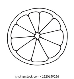 Citrus fruit, half a slice.  For modern creative design of logos, banners, packages, covers, prints, menus, stickers, labels, etc.  Vector illustration.  Circuit.
