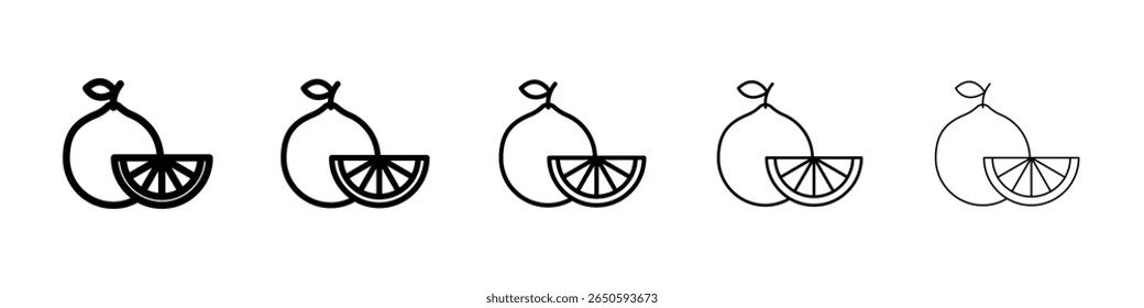 Citrus fruit icon graphic set. trendy stroke line style