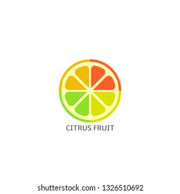 Citrus fruit icon. Lime, lemon, orange and grapefruit slices Vector illustration