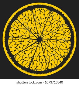 Citrus Fruit Icon. Stylized Slice of Orange. Vector  The Flesh of Orange in Hipster Style. Delicious Citrus Fruit for Design, Template, Illustration, Advertizing, Card.