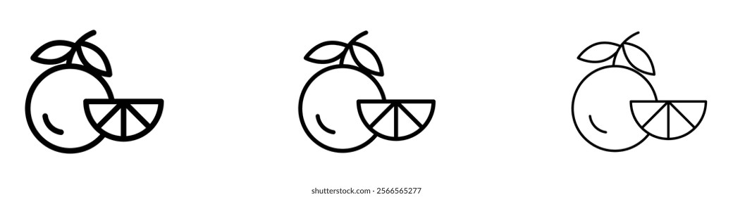 Citrus fruit icon in tree different line stroke sizes.