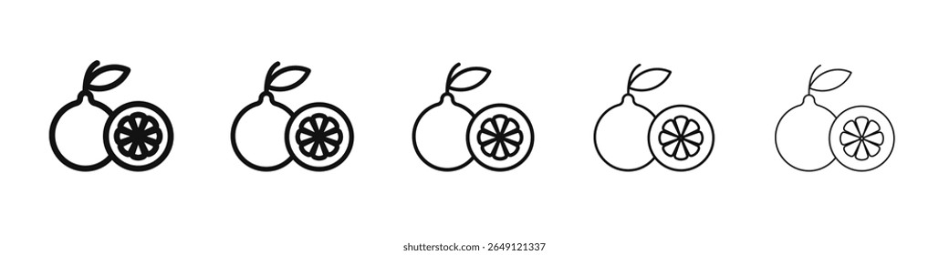 Citrus fruit icon vector outline set illustration sign