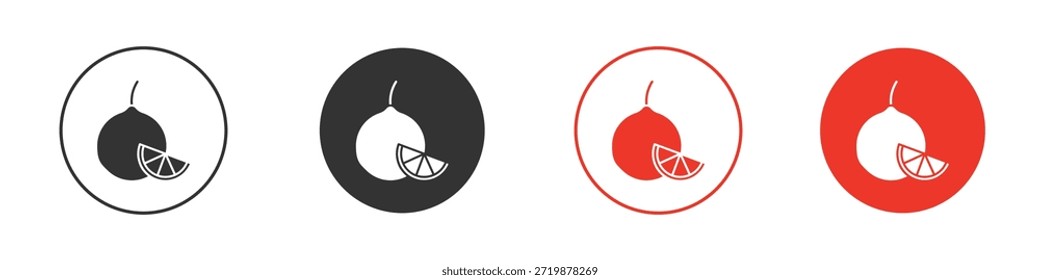 Citrus fruit icon. web vector design