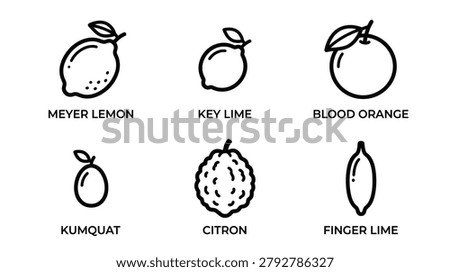 Citrus fruit icons featuring Meyer Lemon Key Lime Blood Orange Kumquat Citron and Finger Lime creating a diverse collection