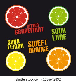 Citrus Fruit Icons - Vector Illustration - Isolated On Black Background