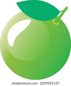 Ilustración del cítrico