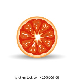 Citrus fruit isolated on white background. Vector illustration