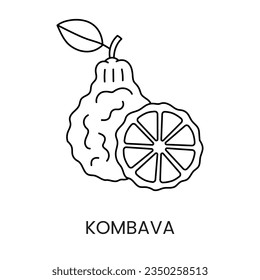 Citrus fruit Kaffir lime or kombava or makrut, line icon in vector to indicate on food packaging about the presence of this allergen.