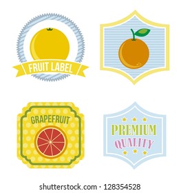 citrus fruit label over white background. vector illustration