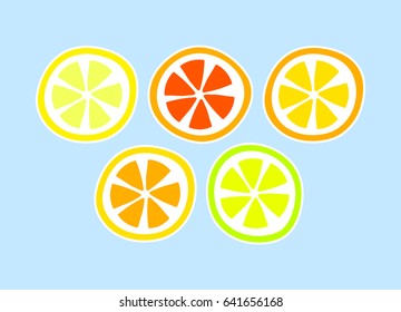 Citrus fruit lemon grapefuit orange slices, vector background