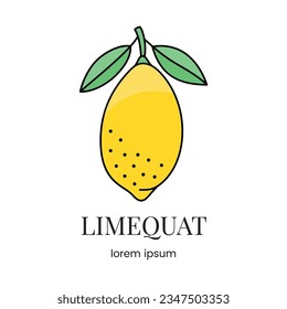 Citrus fruit limonella or limequat, line icon in vector to indicate on food packaging about the presence of this allergen