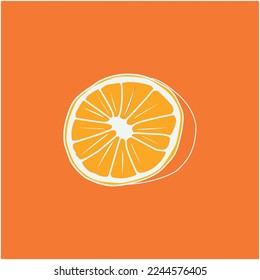 Citrus fruit logo. orange isolated on orange background. Vector illustration