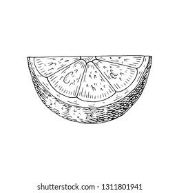 Citrus fruit orange, lime, lemon, mandarin, bergamot slices, half, cut isolated on white background. Hand drawn food illustration. 