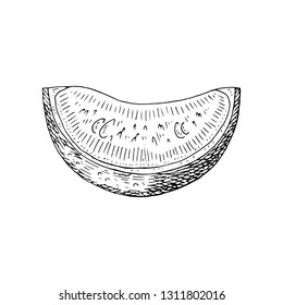 Citrus fruit orange, lime, lemon, mandarin, bergamot slices, half, cut isolated on white background. Hand drawn food illustration. 