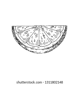 Naranja de cítricos, lima, limón, mandarina, rebanadas de bergamota, mitad, cortadas aisladas en fondo blanco. Dibujo de comida hecho a mano. 