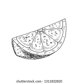 Citrus fruit orange, lime, lemon, mandarin, bergamot slices, half, cut isolated on white background. Hand drawn food illustration. 