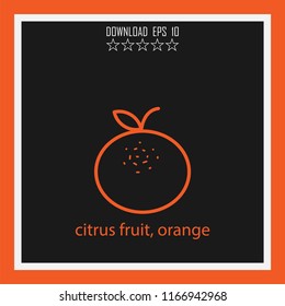 citrus fruit, orange vector icon