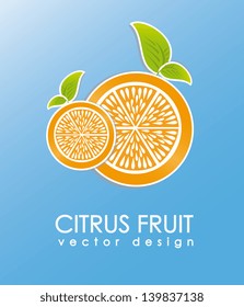 citrus fruit over blue background vector illustration