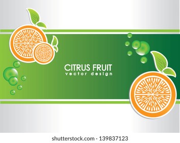 citrus fruit over gray background vector illustration