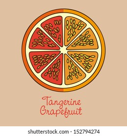 citrus fruit over pink background vector illustration  