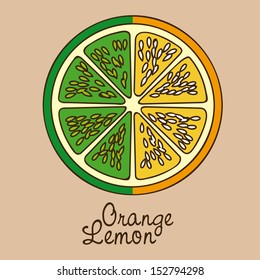 citrus fruit over pink background vector illustration  