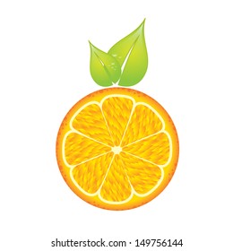 citrus fruit over white background vector illustration