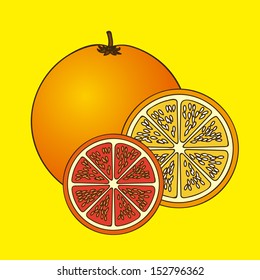 citrus fruit over yellow background vector illustration 