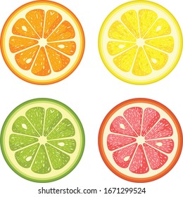 Citrus fruit round slices isolated on white
