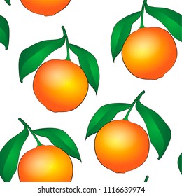 Citrus fruit seamless background. Vector illustration of realistic colored citrus oranges with green leaf isolated on white background, seamless pattern.