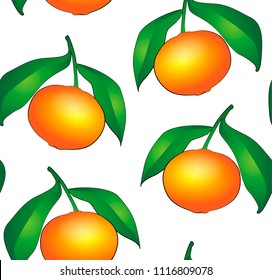 Citrus fruit seamless background. Vector illustration of realistic colored citrus tangerines with green leaves isolated on white background.