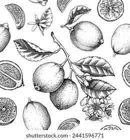 Citrus fruit seamless pattern. Lime fruit, flowers, leaves classic style sketches. Botanical background. Exotic plants texture. Hand drawn vector illustration. NOT AI generated