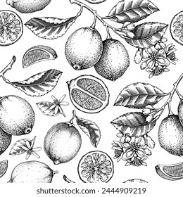 Citrus fruit seamless pattern. Lime tree branches, fruit, flowers, leaves sketches. Botanical background. Exotic plants texture. Hand drawn vector illustration. NOT AI generated