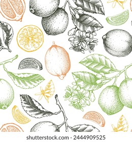 Nahtloses Muster für Zitrusfrüchte. Limettenfrucht, Ast, Blumenskizzen in Farbe. Botanischer Hintergrund. Textur von exotischen Pflanzen. Handgezeichnete Vektorillustration. KEINE KI generiert