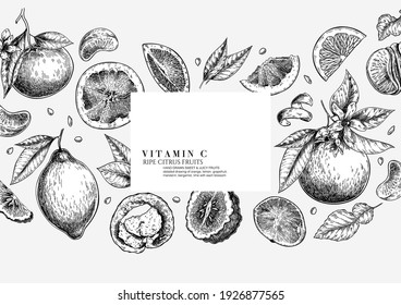 Citrus fruit set. Hand drawn orange, lemon, grapefruit, mandarin, lime, bergamot, leaves with bloosm and branches. Vector engraved composition Restaurant branding, cosmetic package design, menu