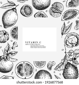 Citrus fruit set. Hand drawn orange, lemon, grapefruit, mandarin, lime, bergamot, leaves with bloosm and branches. Vector engraved composition Restaurant branding, cosmetic package design, menu