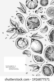 Citrus fruit set. Hand drawn orange, lemon, grapefruit, mandarin, lime, bergamot, leaves with bloosm and branches. Vector engraved composition Restaurant branding, cosmetic package design, menu