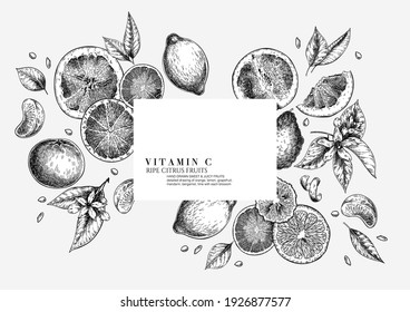 Citrus fruit set. Hand drawn orange, lemon, grapefruit, mandarin, lime, bergamot, leaves with bloosm and branches. Vector engraved composition Restaurant branding, cosmetic package design, menu