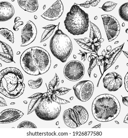 Citrus fruit set. Hand drawn orange, lemon, grapefruit, mandarin, lime, bergamot, leaves with bloosm and branches. Vector engraved seamless pattern. Restaurant branding, cosmetic package design, menu