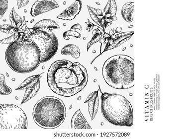 Citrus fruit set. Hand drawn orange, lemon, grapefruit, mandarin, lime, bergamot, leaves with bloosm and branches. Vector engraved composition Restaurant branding, cosmetic package design, menu