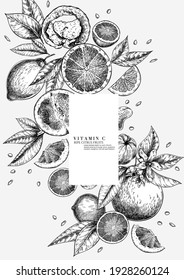 Citrus fruit set. Hand drawn orange, lemon, grapefruit, mandarin, lime, bergamot, leaves with bloosm and branches. Vector engraved composition Restaurant branding, cosmetic package design, menu